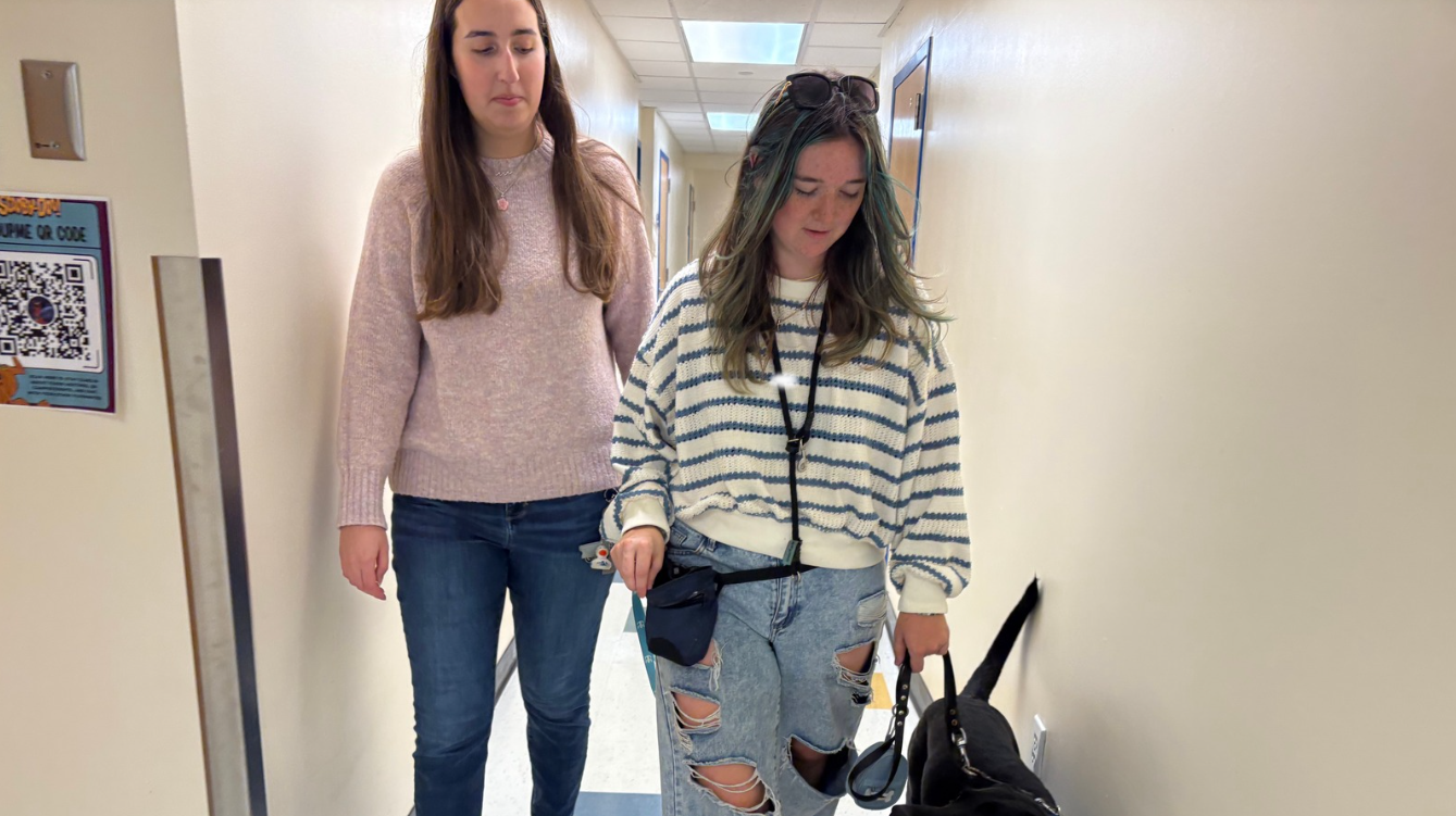 USF St Pete students prepare puppies for life of service