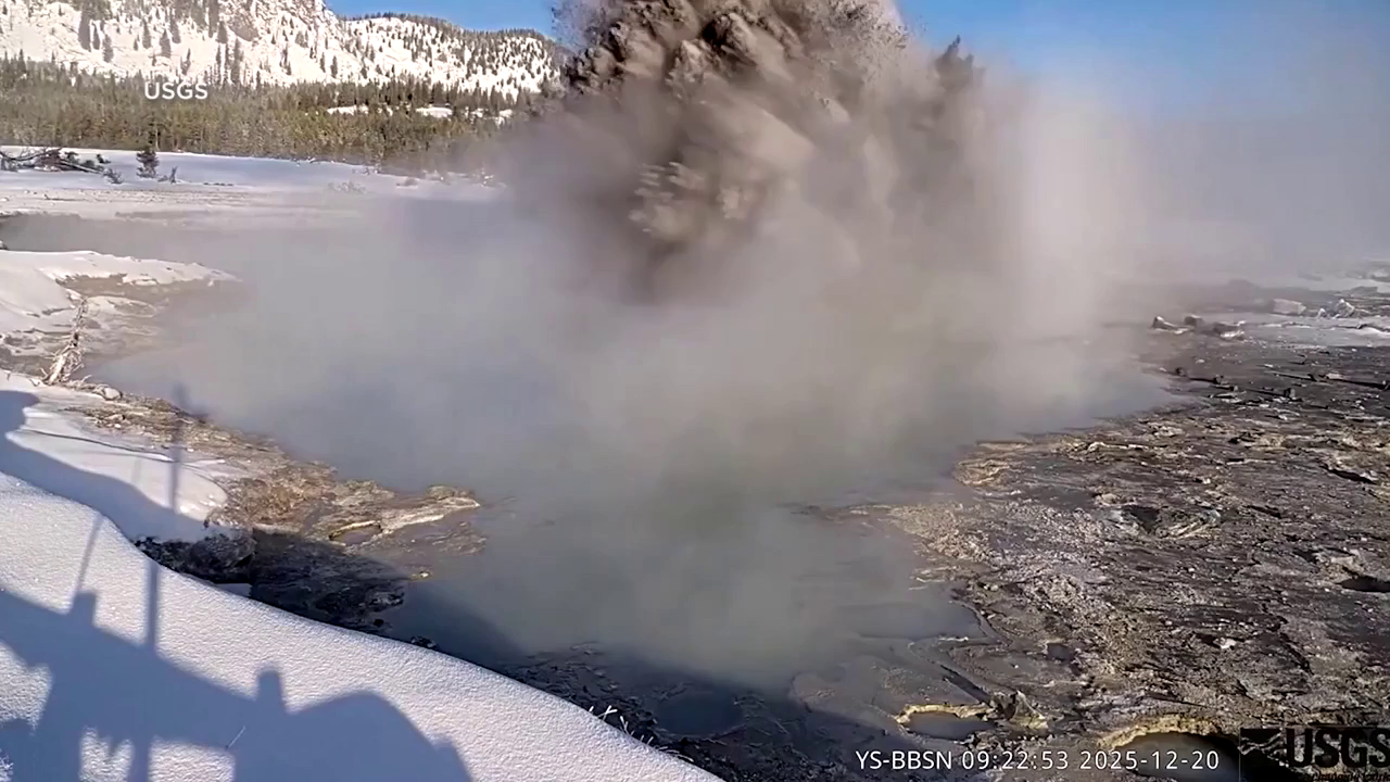 Poster image (12).jpg