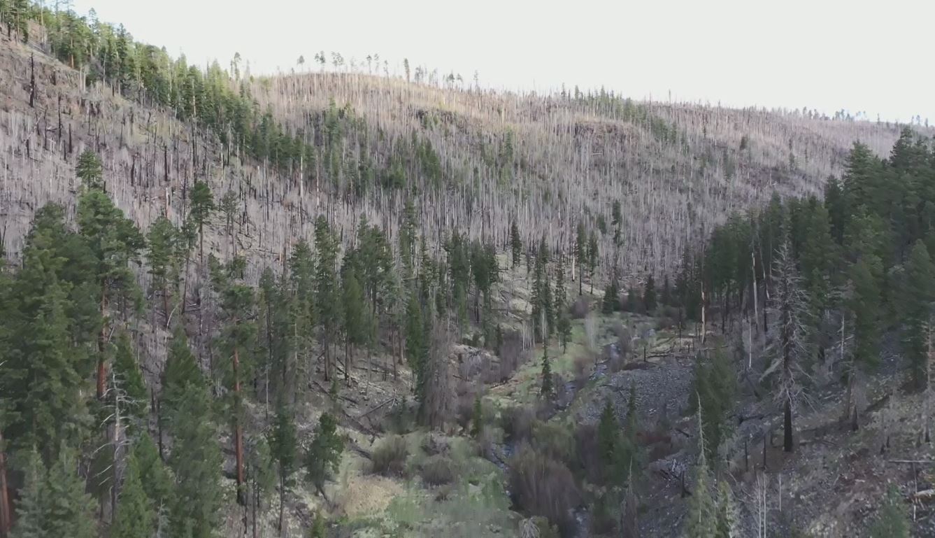 Wallow Fire drone