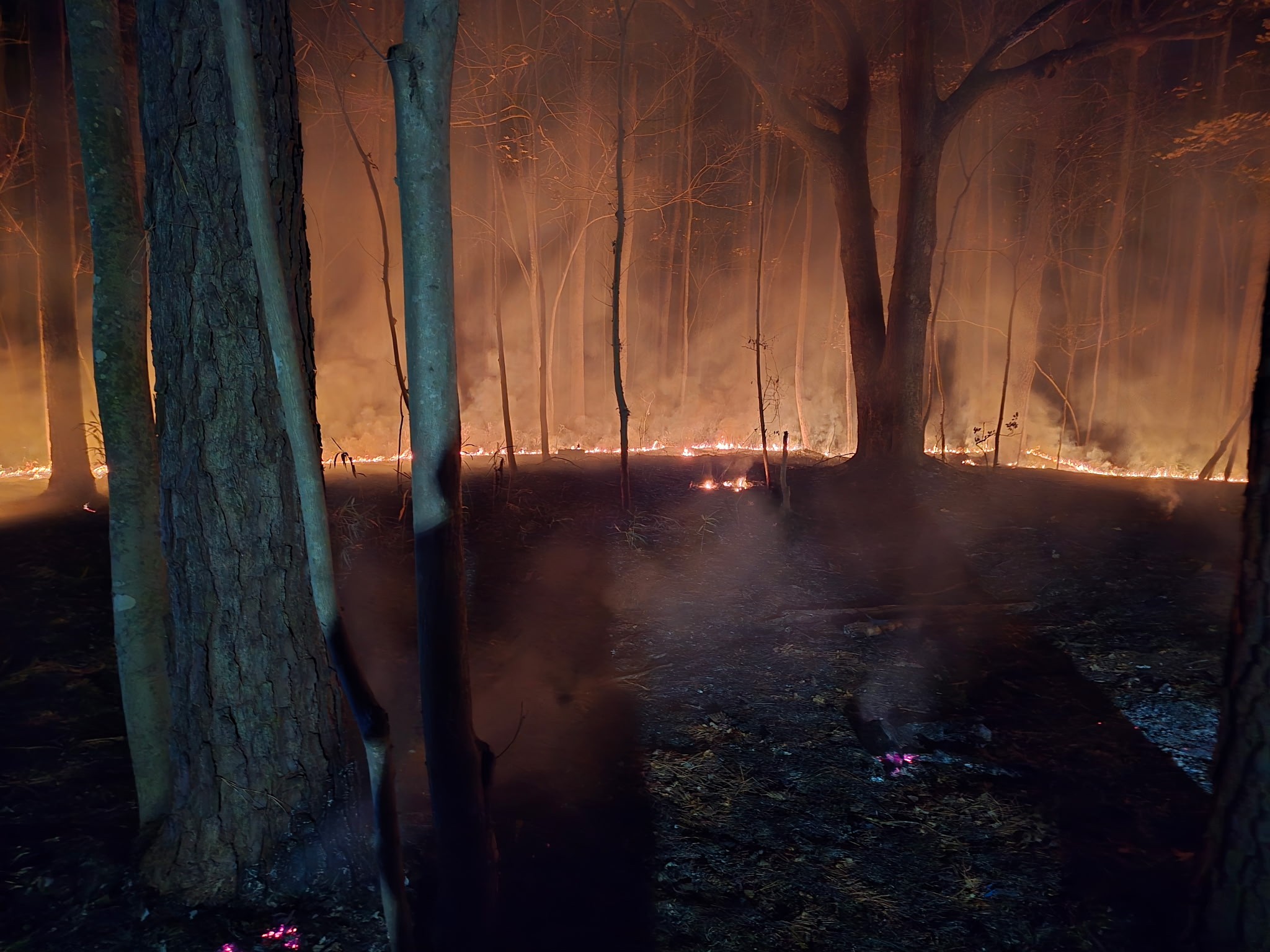 592283859_1189941853235984_1557989330131014314_n (1).jpg