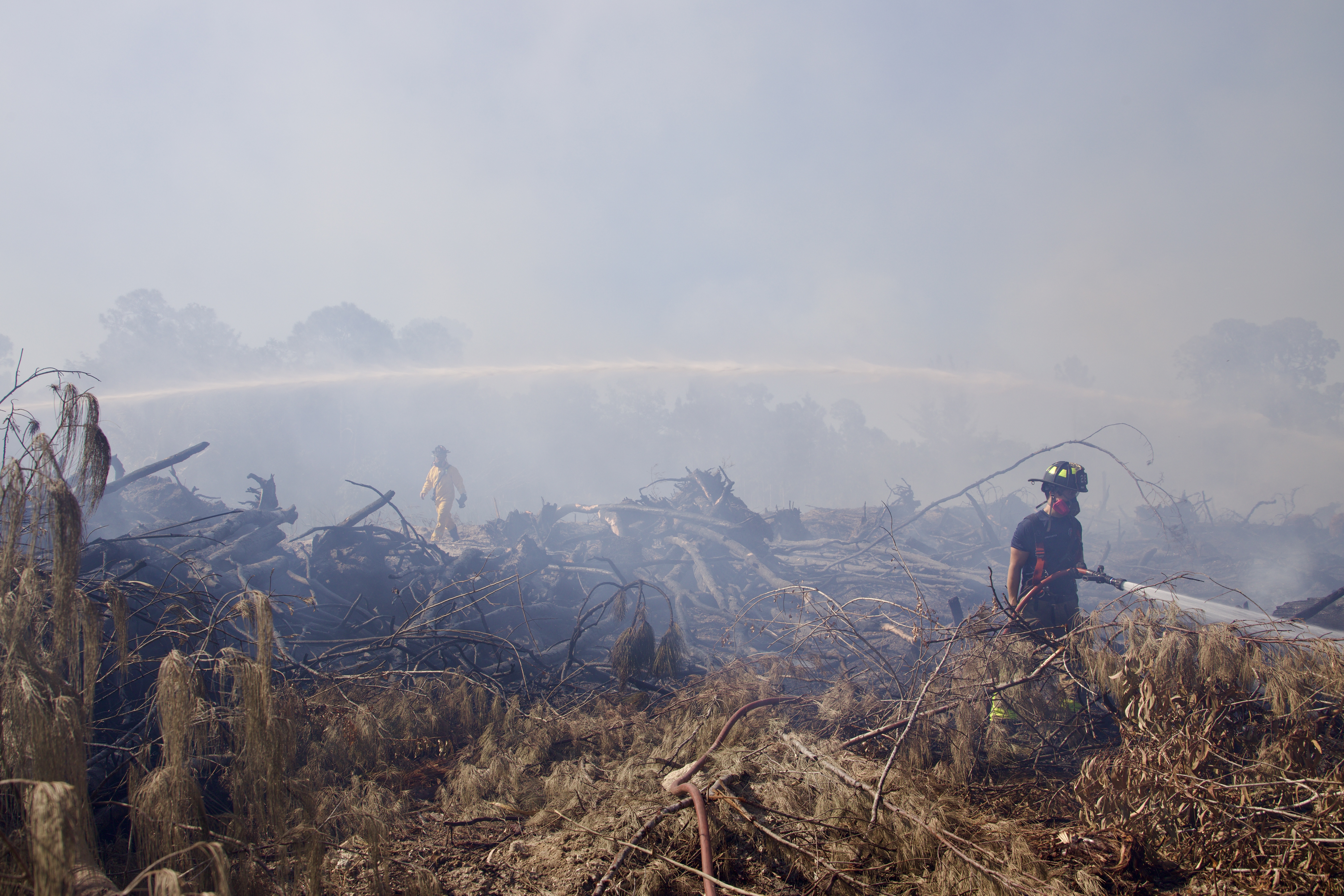 Palm Beach County Fire Rescue personnel are on the scene of a brush fire in the Loxahatchee area. April 15, 2024.jpeg