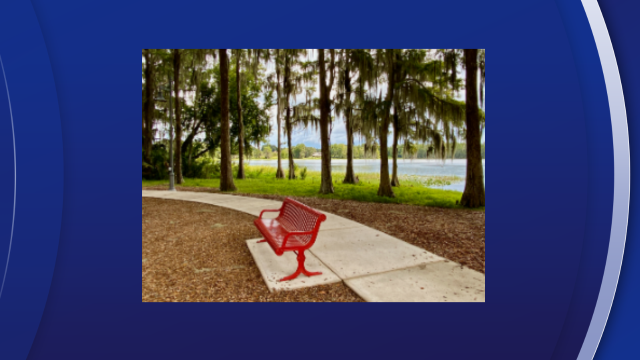 wallace brooks park.png