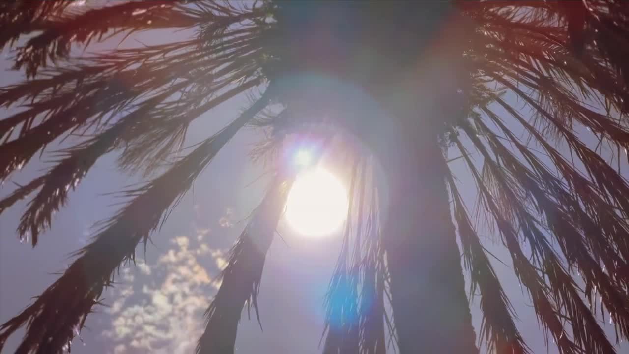 sun in florida