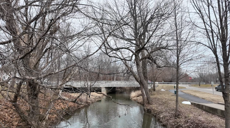 Screenshot 2026-02-17 at 5.28.29 PM.png