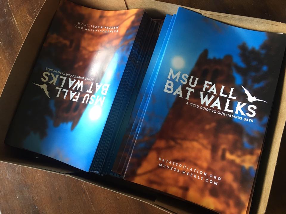 MSU BAT WALK