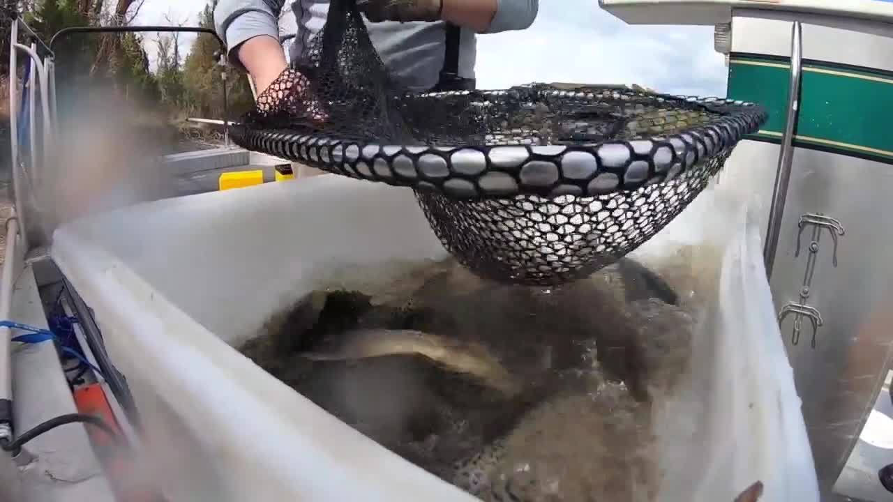 Poster image (6).jpg