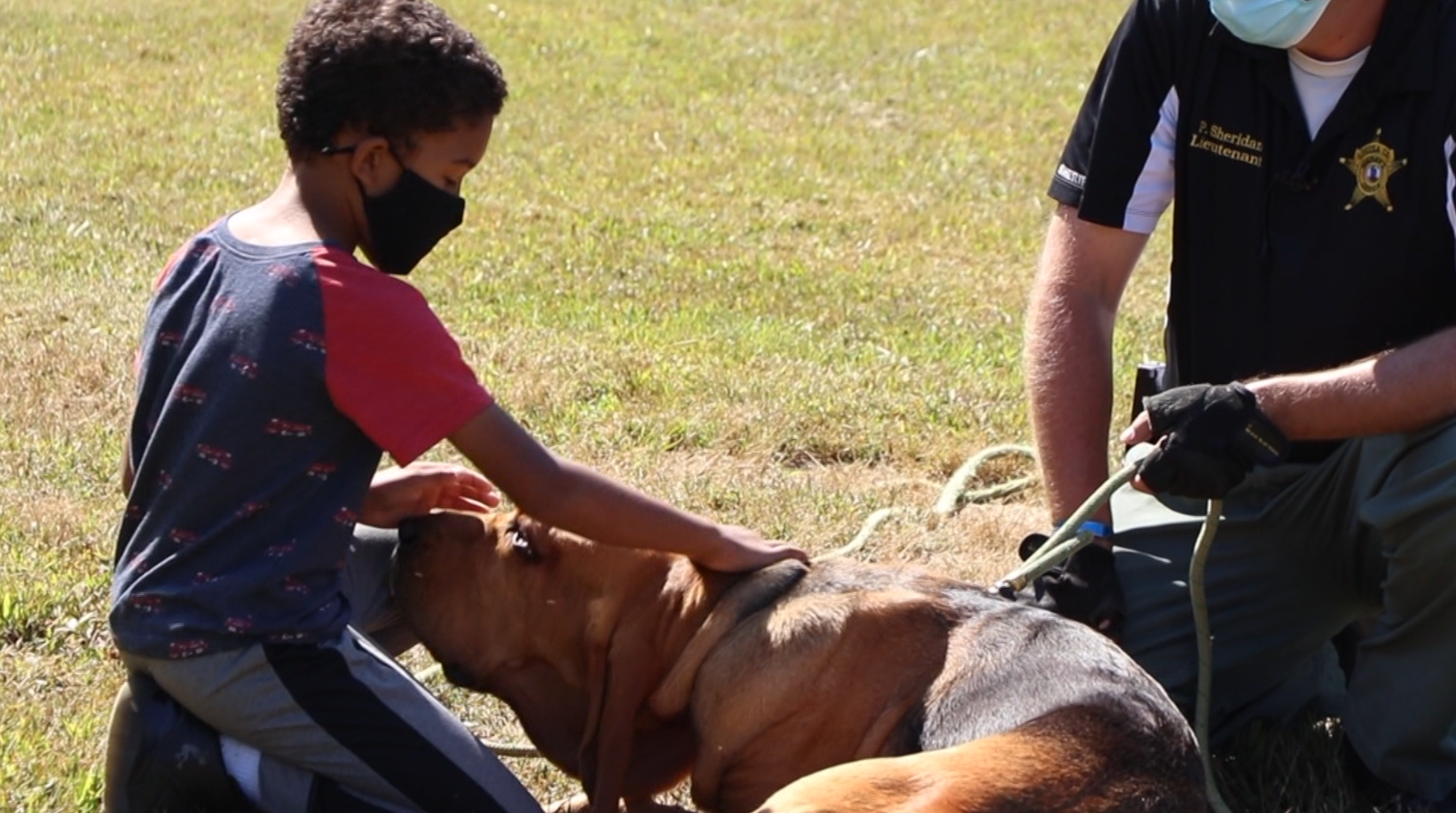 Building Better Minds Louisa dog.png