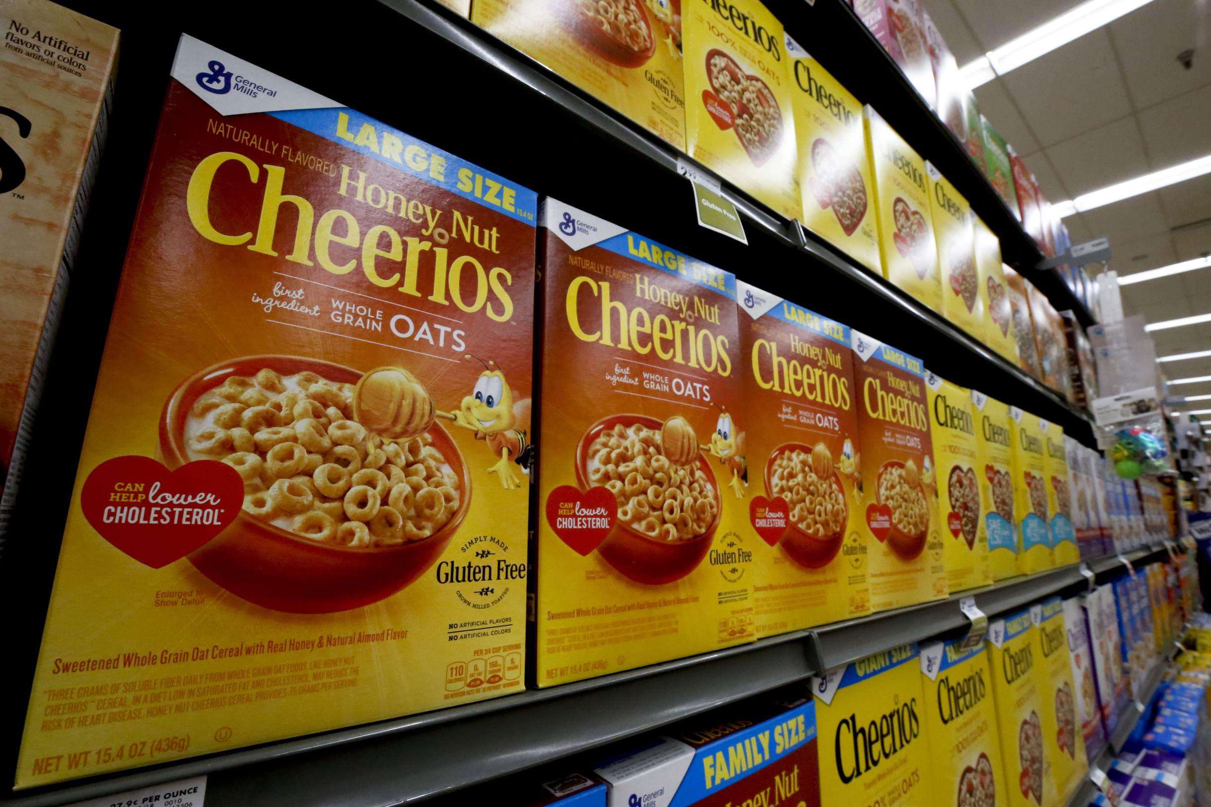 Earns General Mills