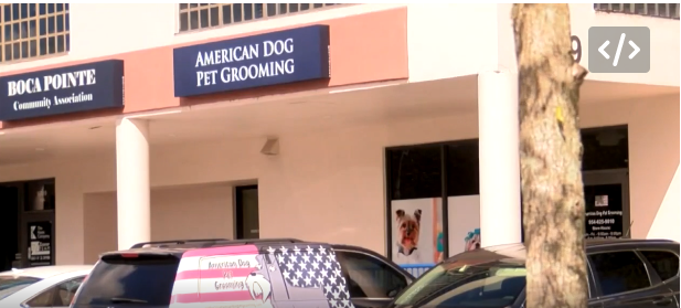 American Dog Pet Grooming in Boca Raton.png