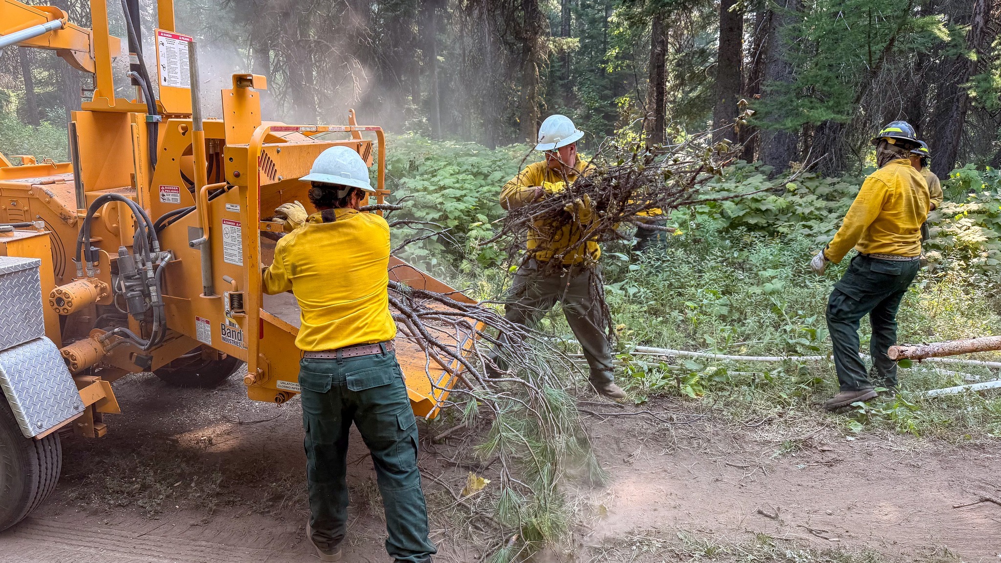 Boise National Forest.jpg