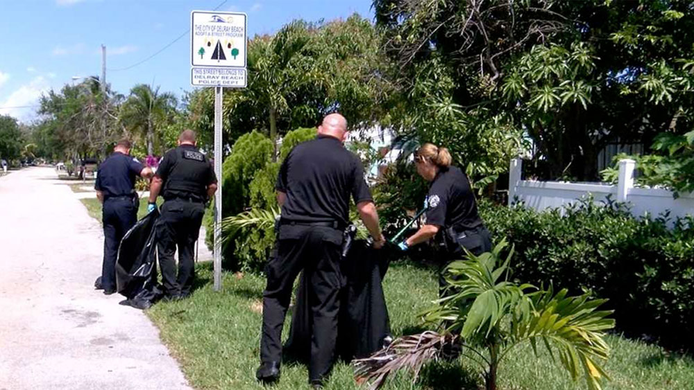 WPTV-DELRAY-BEACH-ADOPT-A-STREET-.jpg