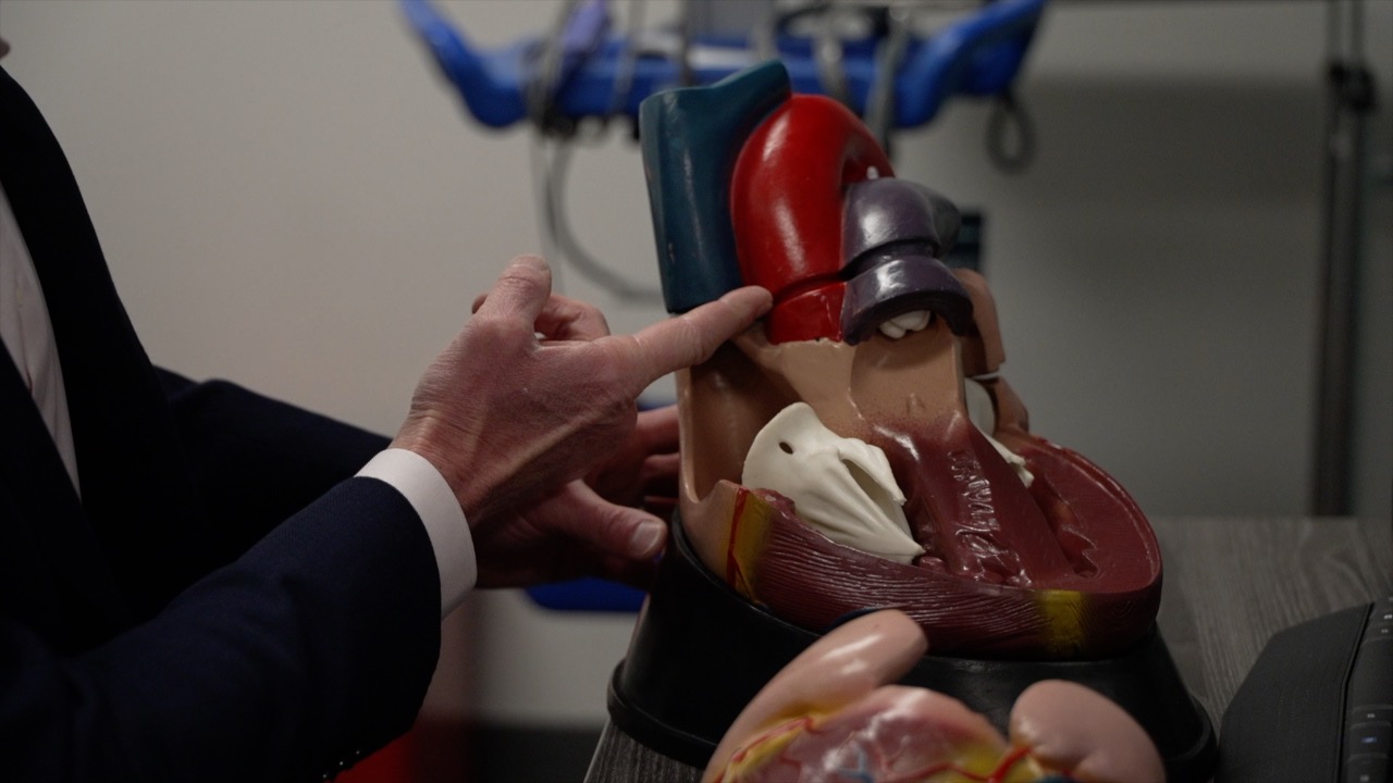 Repairing Heart Aneurysm.jpg