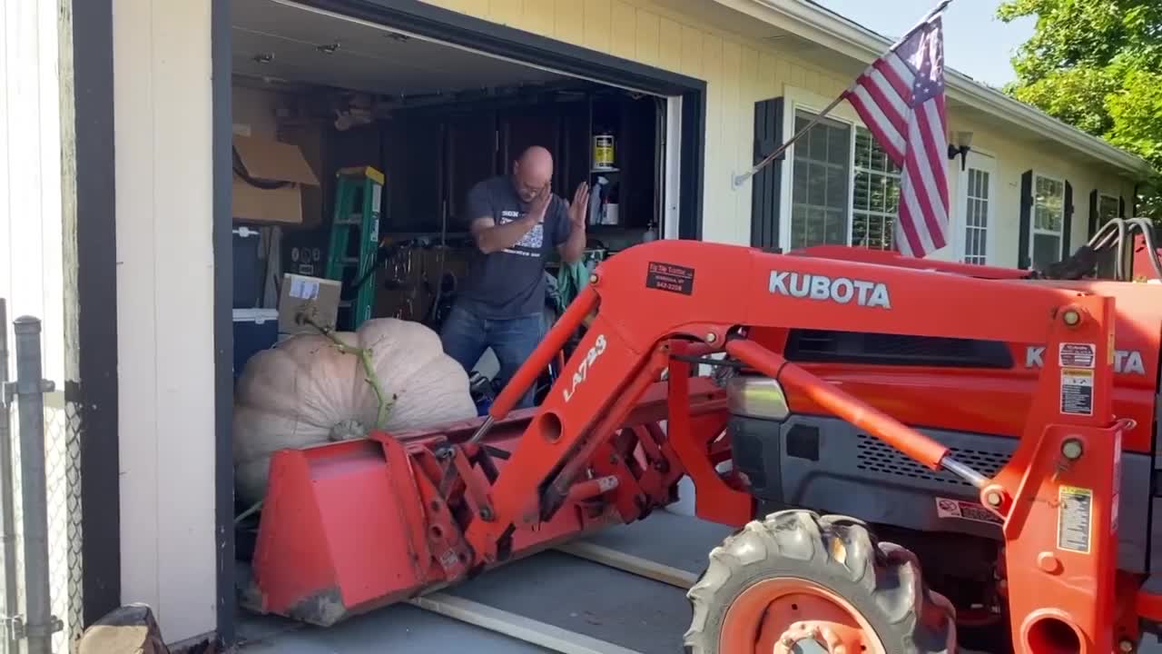 lolo pumpkin