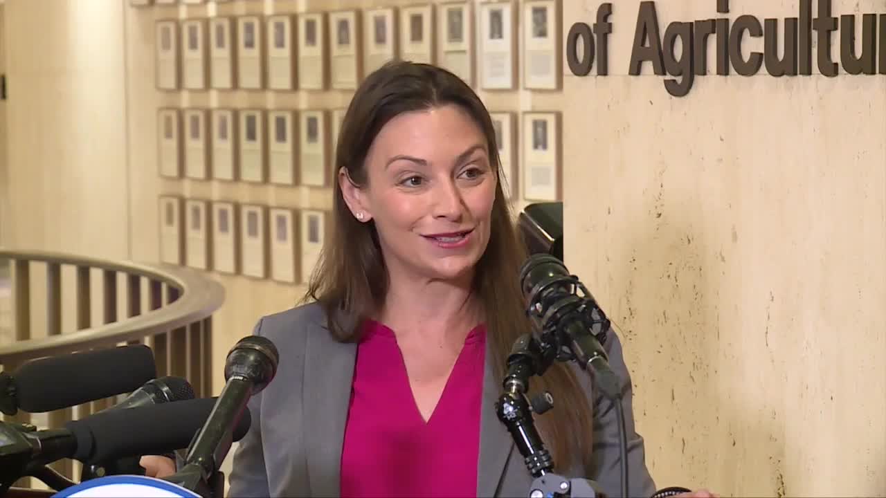 Nikki Fried says it 'makes absolutely sense' for her to run for governor, May 4, 2021