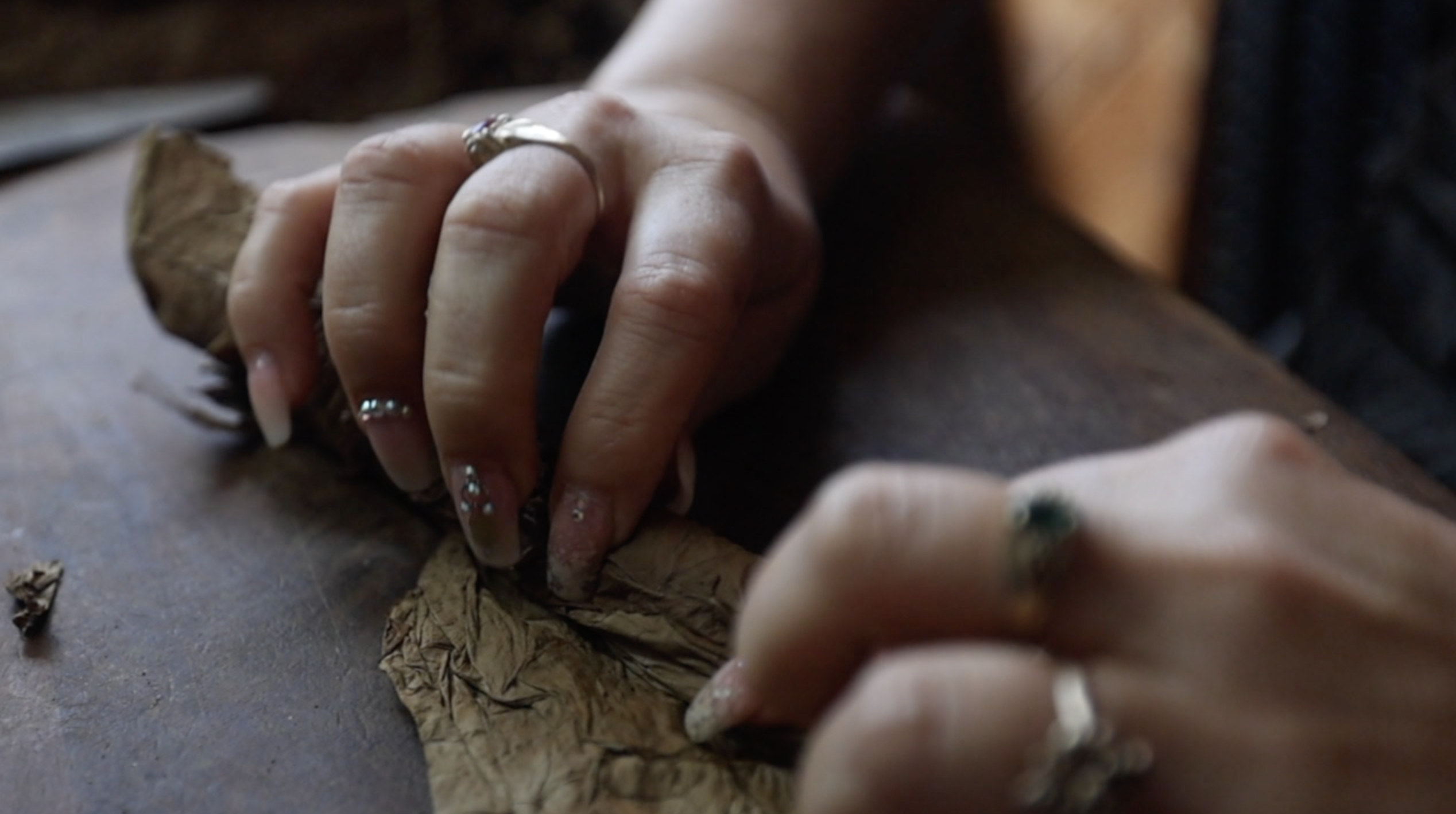 A hand-rolled cigar at Long Ash Cigars in Ybor City.