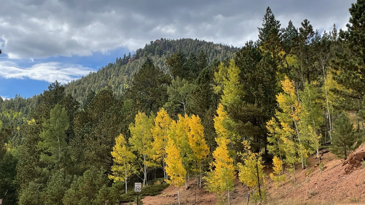 Teller County fall colors
