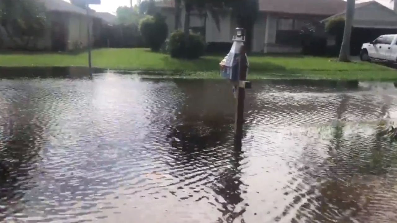 wptv-sea-pines-lantana-flooding-11-17-20.jpg