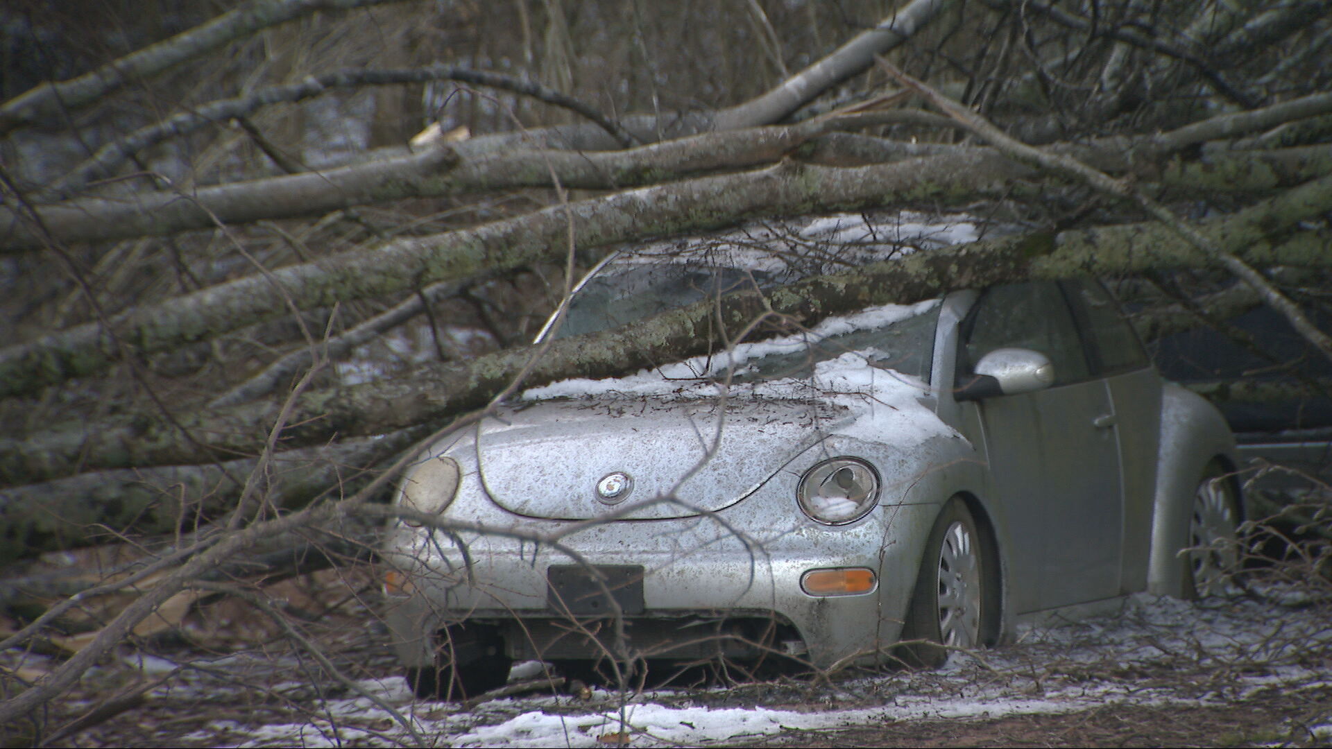 Areas still without power_frame_25522.jpeg