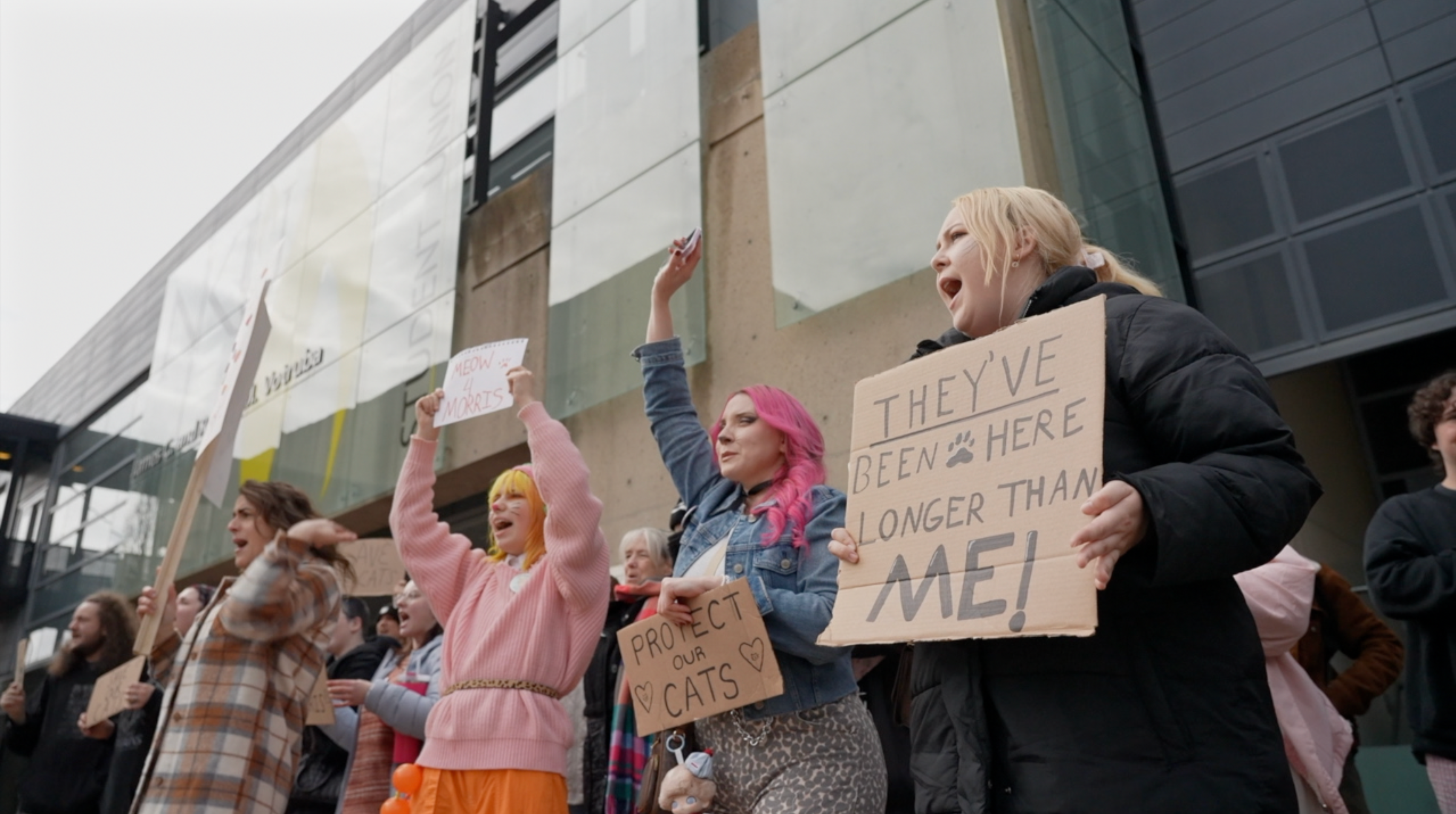 NKU students protest to keep beloved campus cat colony as university looks to relocate them