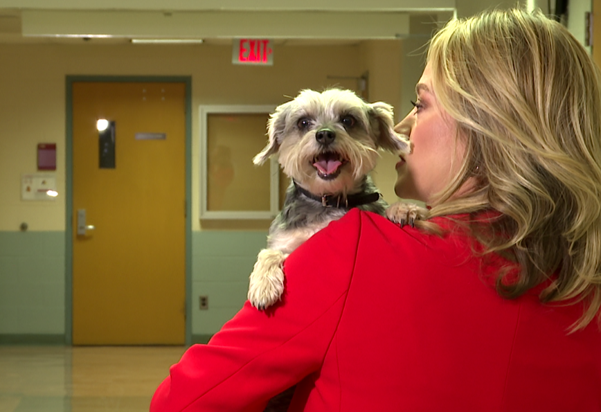 Benny, Mary Nelson's rescue, is one of 300 study participants.