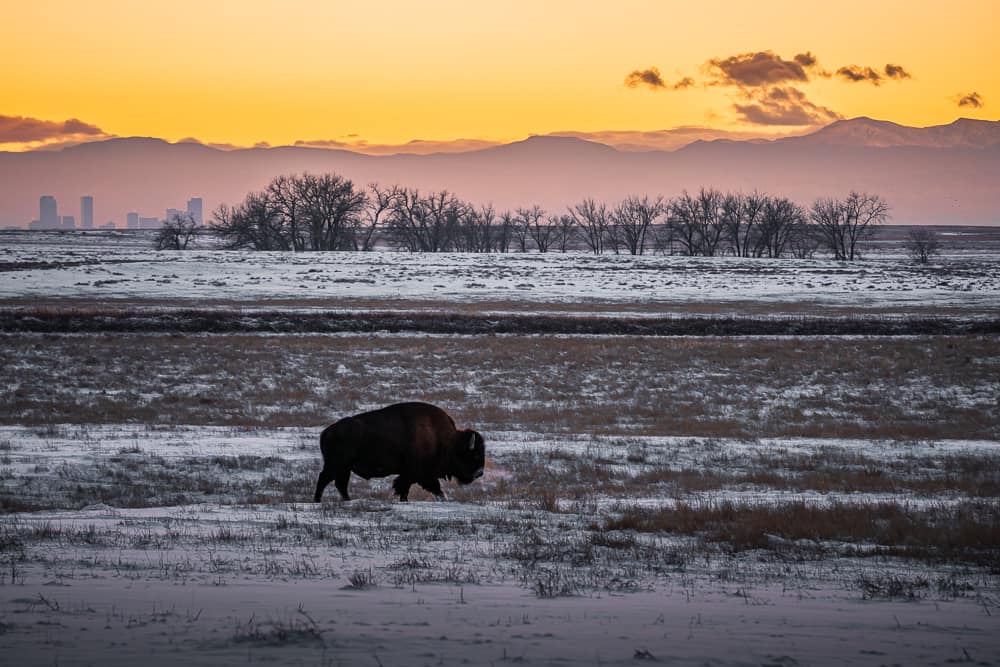 kelley-dallas-fine-art-photography-denver-skyline.jpg