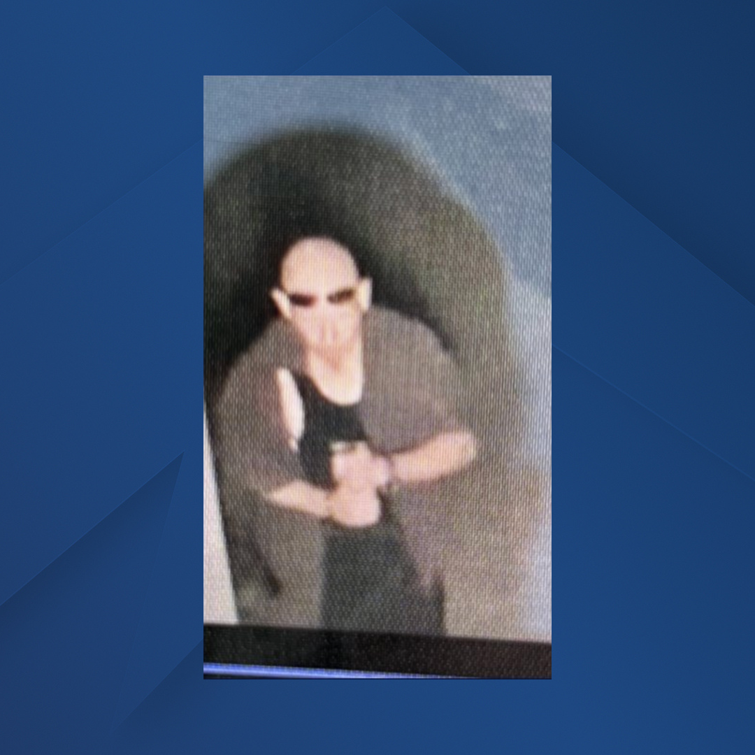 Theft Suspect.png