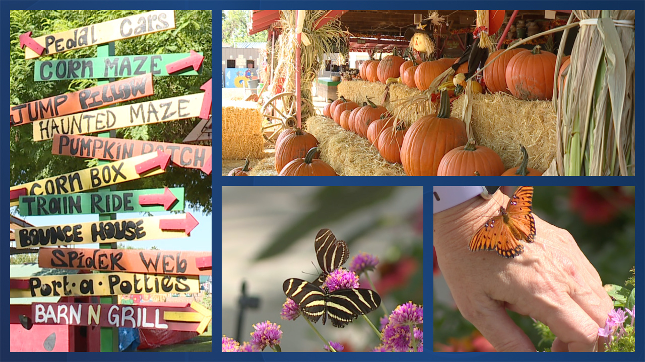 Fall events in Phoenix 2021.jpg