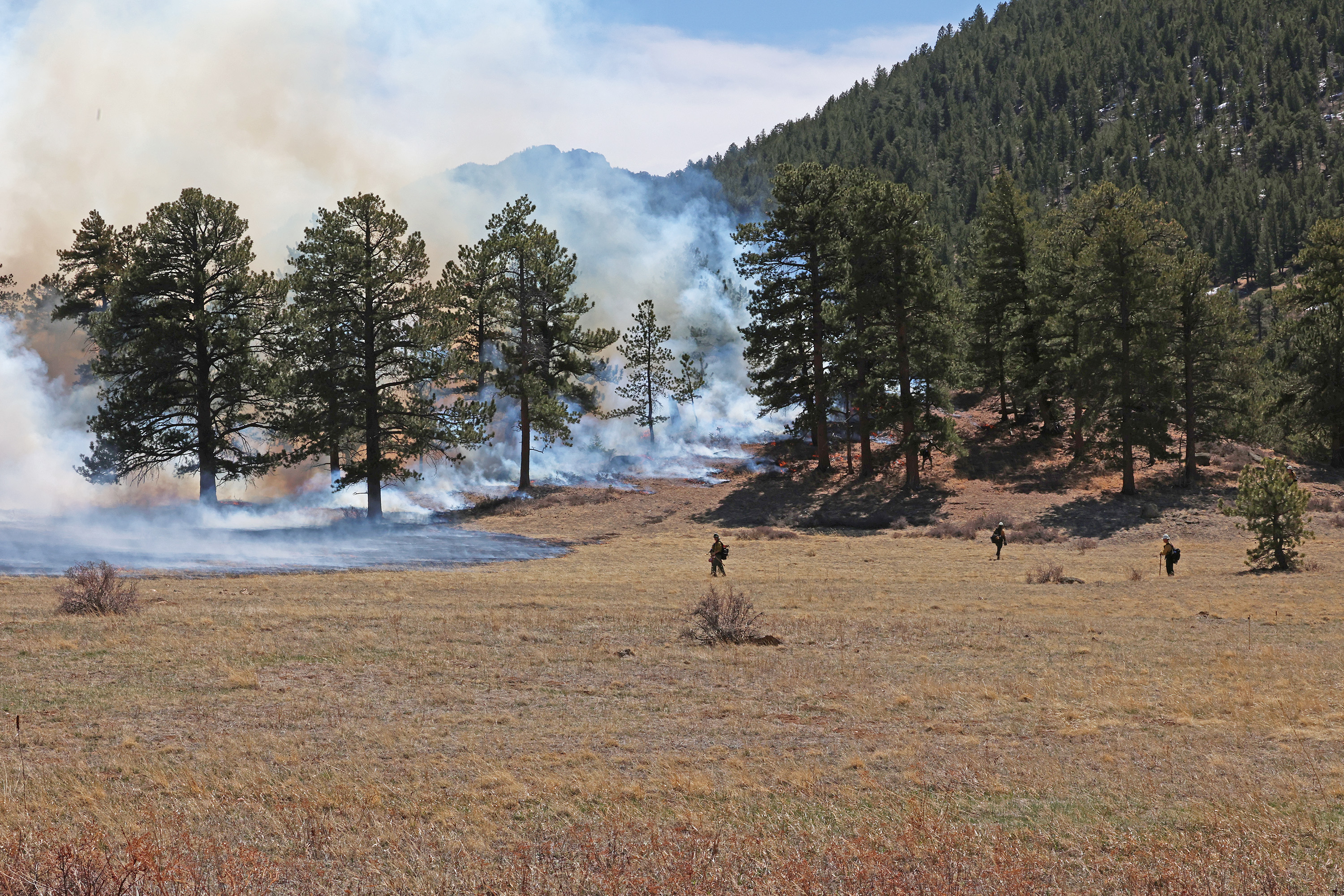 Trail Ridge Road will shut down in Rocky Mountain National Park Wednesday due a prescribed burn.jpg