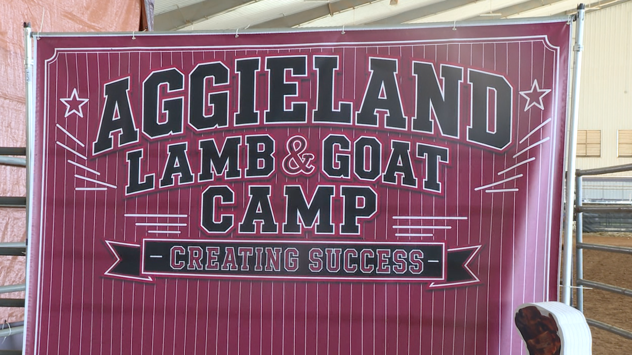 Aggieland Lamb and Goat Camp
