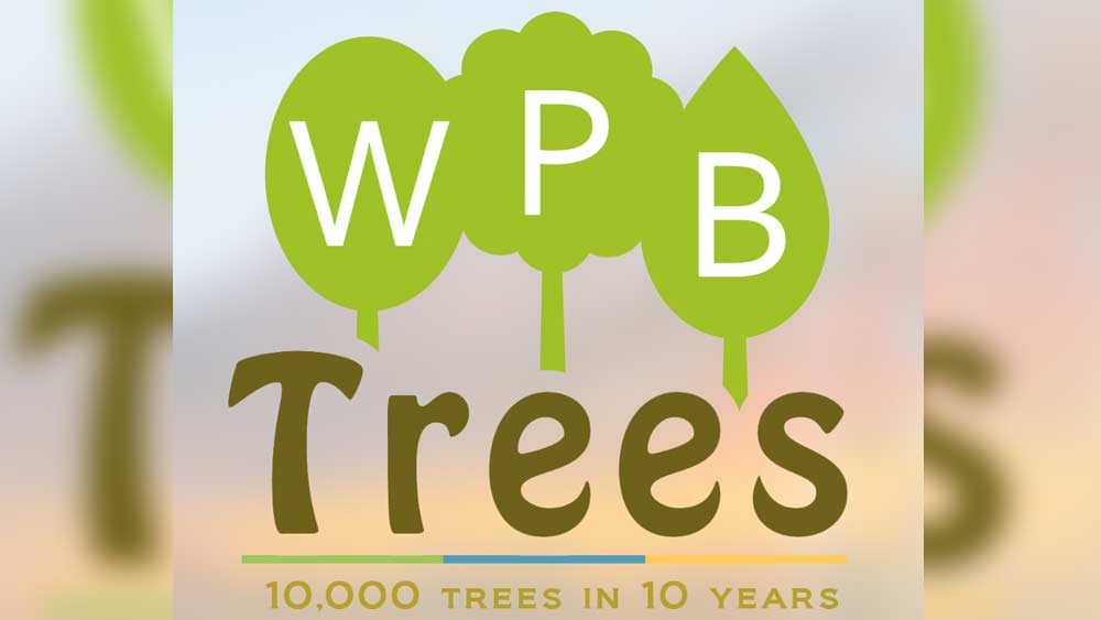 wptv-west-palm-trees.jpg