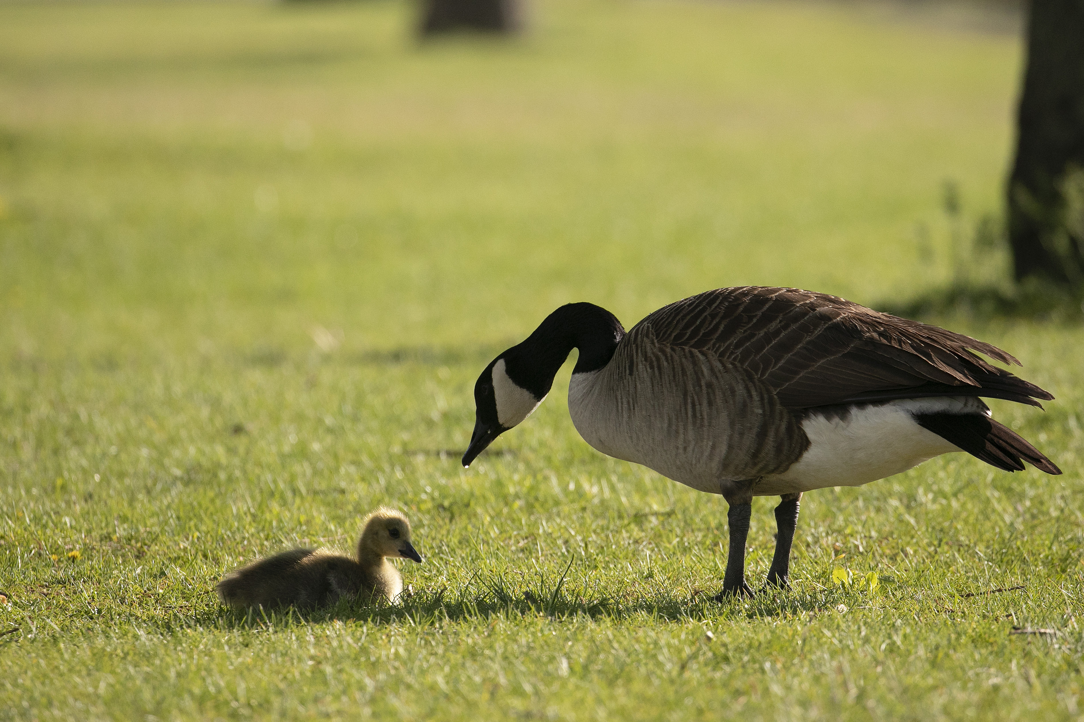 Virus Outbreak New Jersey