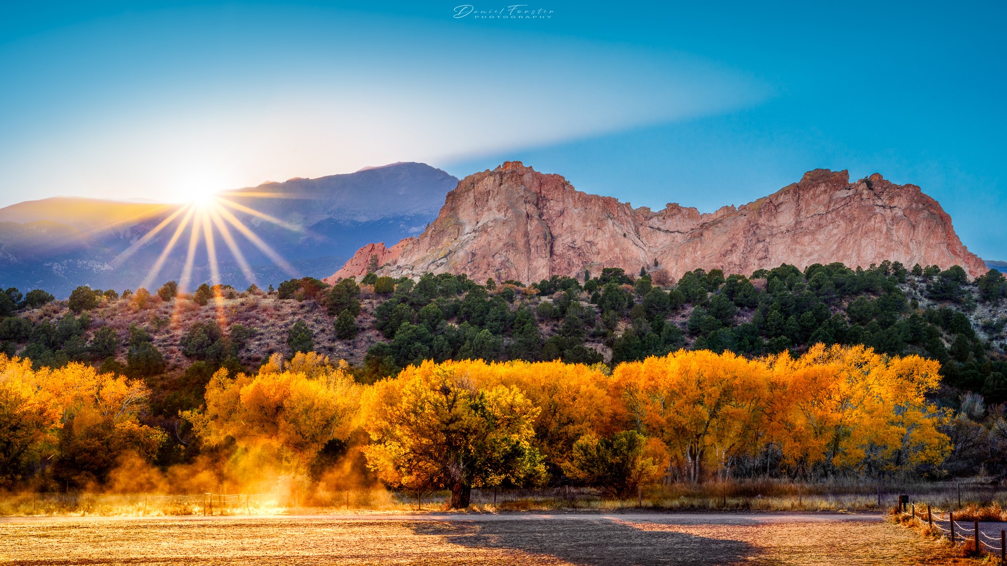 Daniel Forster Garden of the Gods