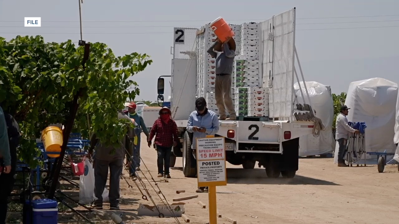 Cal/OSHA launches agricultural task force to protect Kern County farmworkers