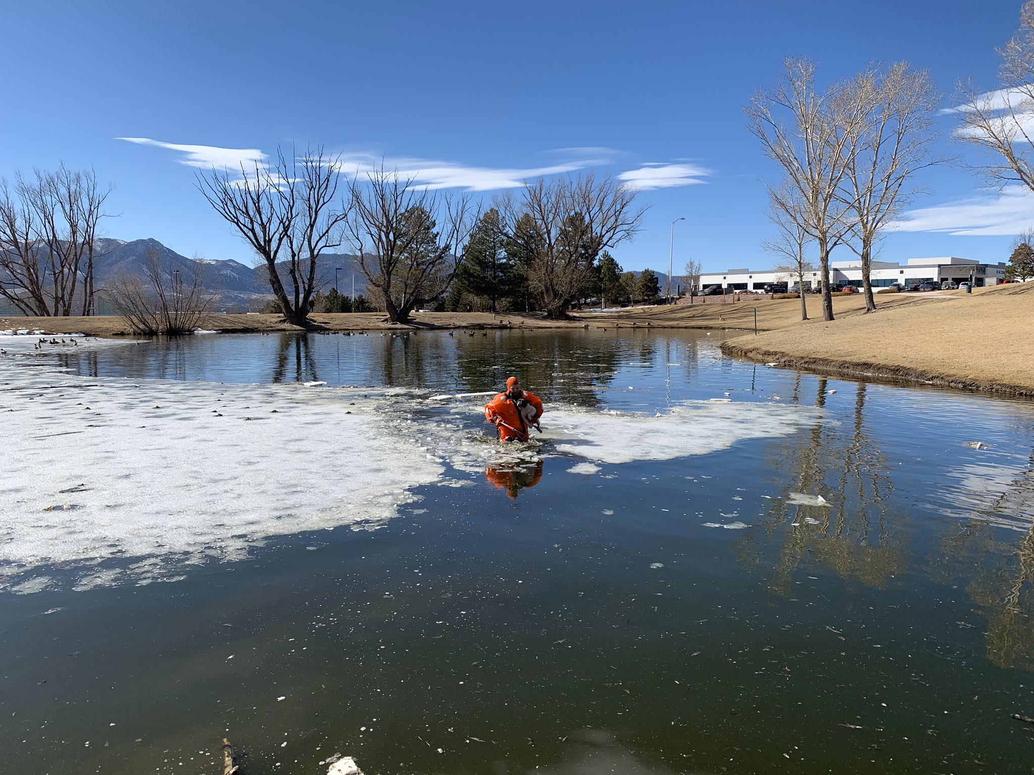 CSFD rescues dog from icy pond