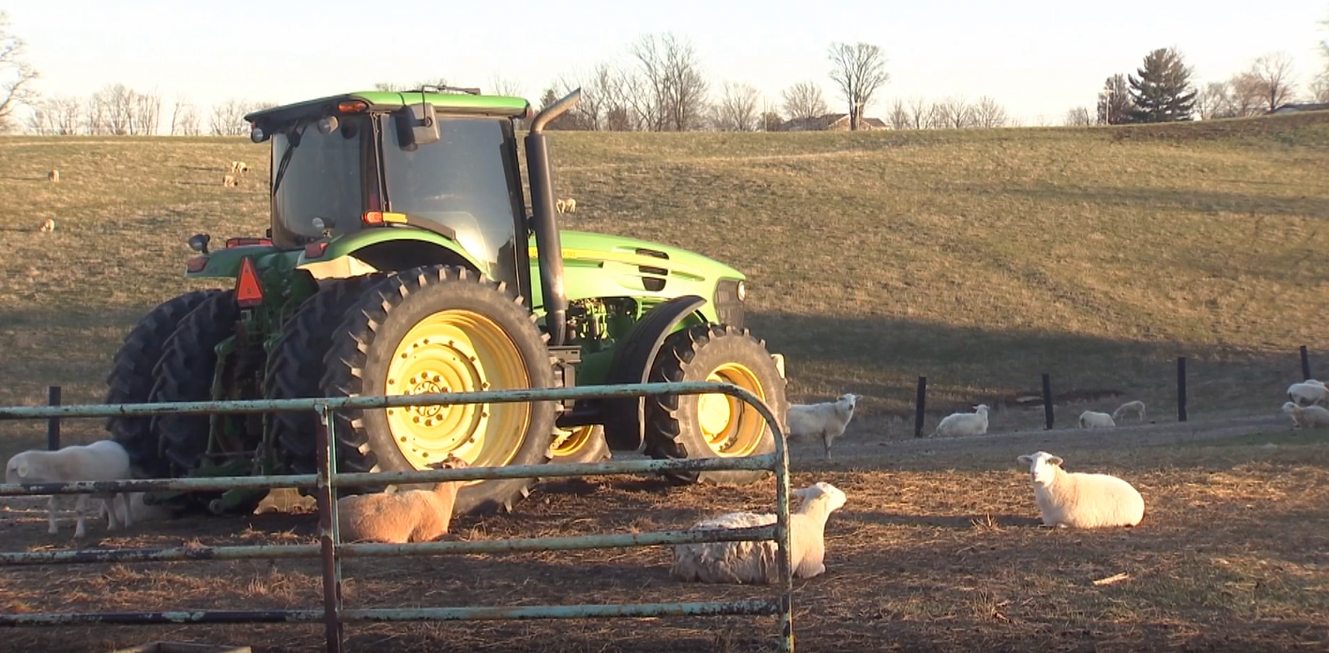farm.png