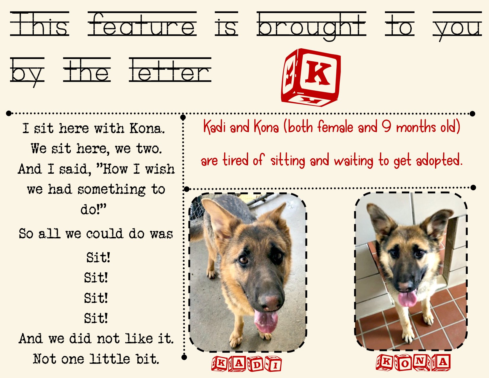 Kadi and kona poster.jpg