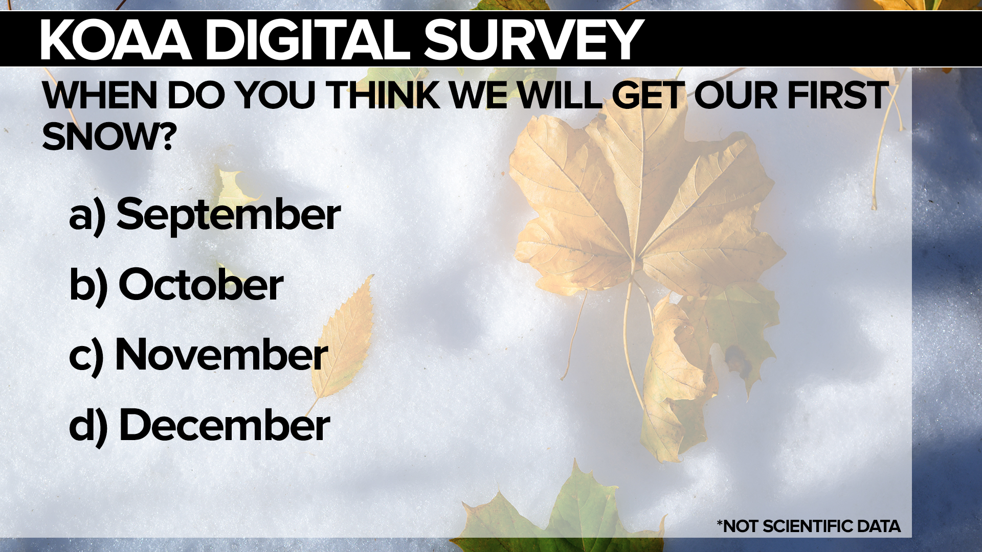 SURVEY First Snow.jpg
