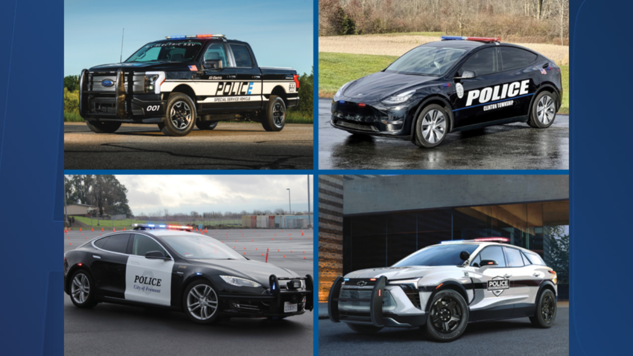 Tampa Police electric vehicles