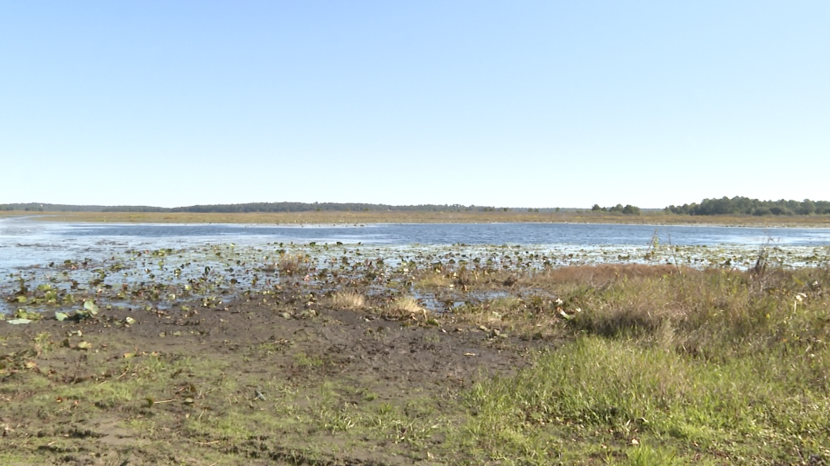 Leon County to discuss proposed development for area around Lake Jackson 