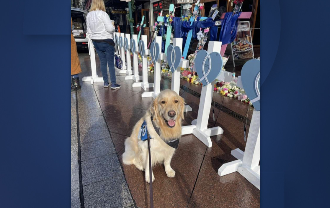 Persis Comfort Dog New Orleans.png