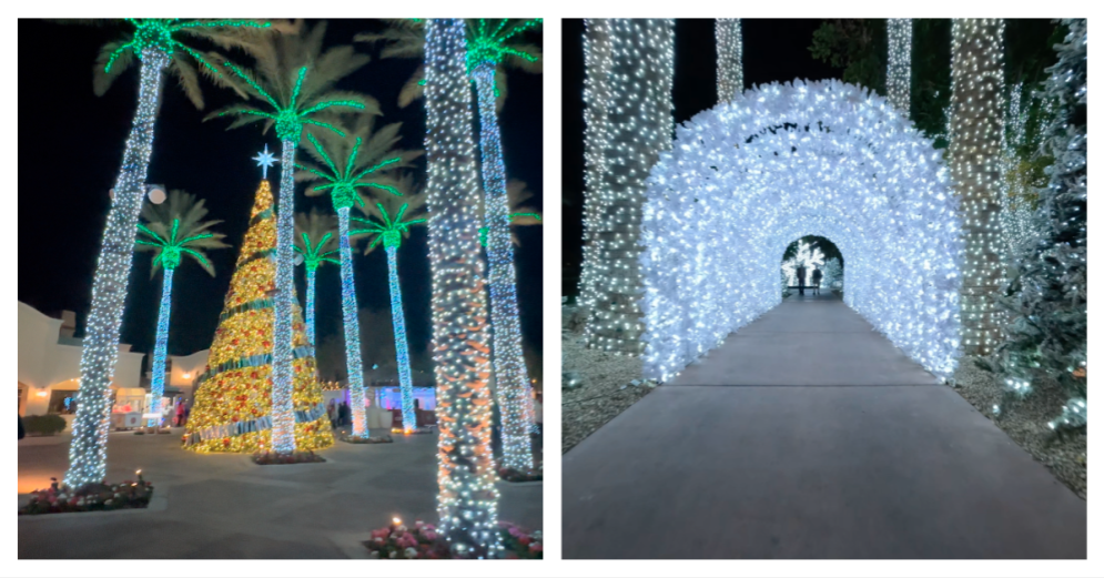 Christmas at The Princess.png