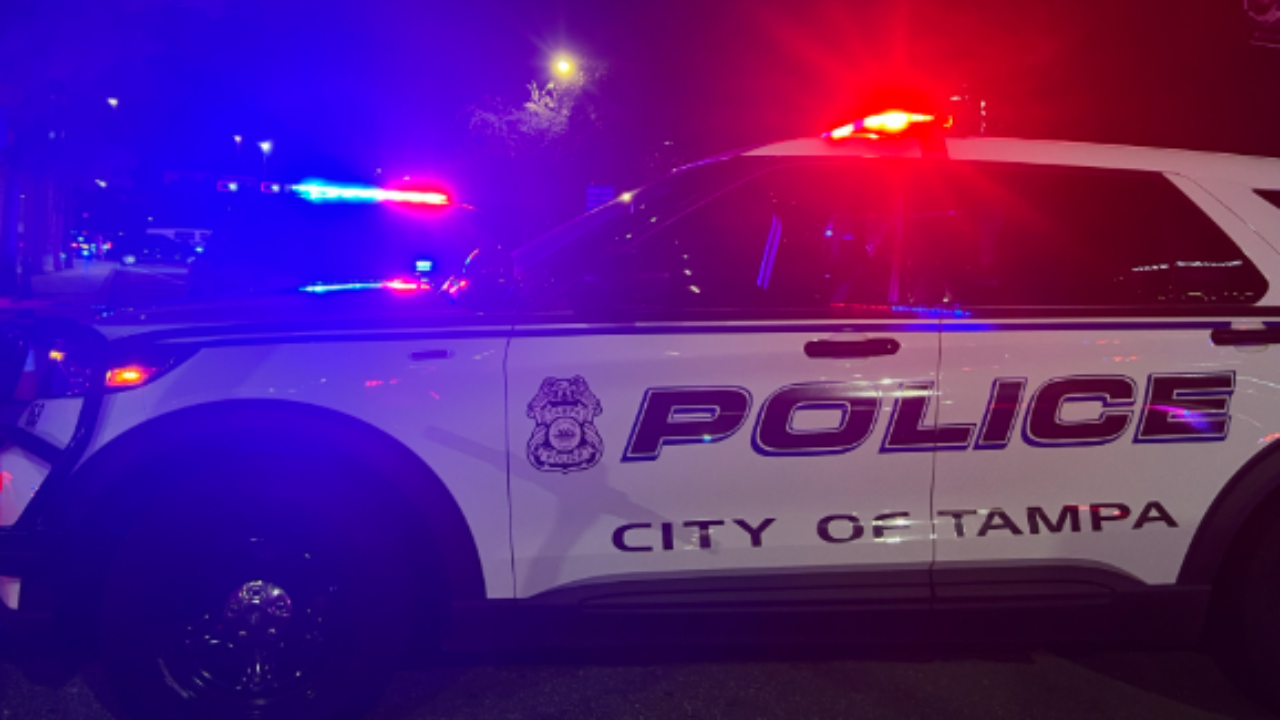 Man fatally hit by car during police investigation