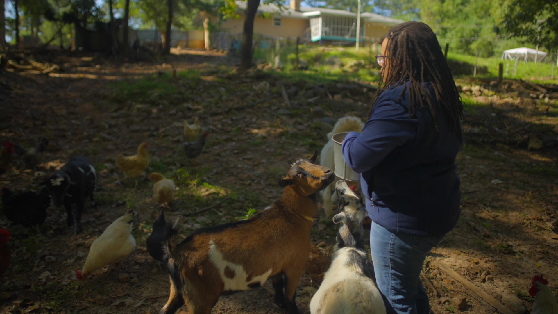 State Senator Kim Jackson feeds her goats