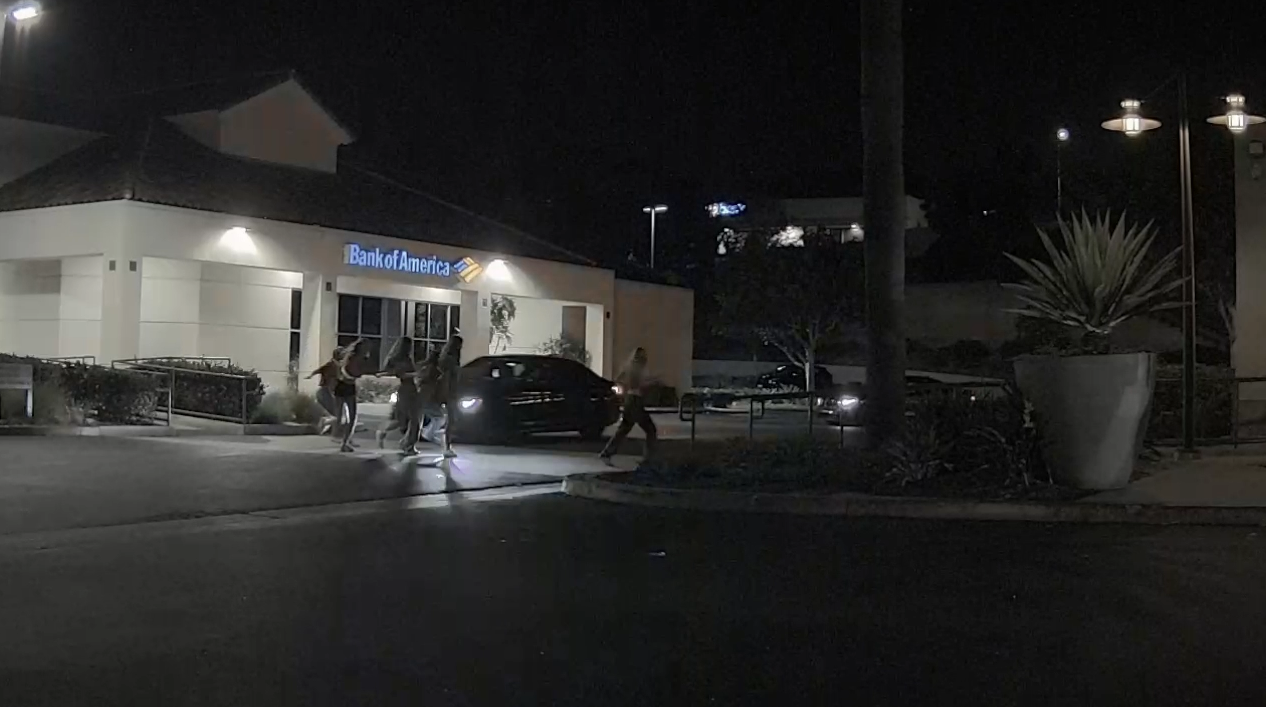 torrey pines hit and run