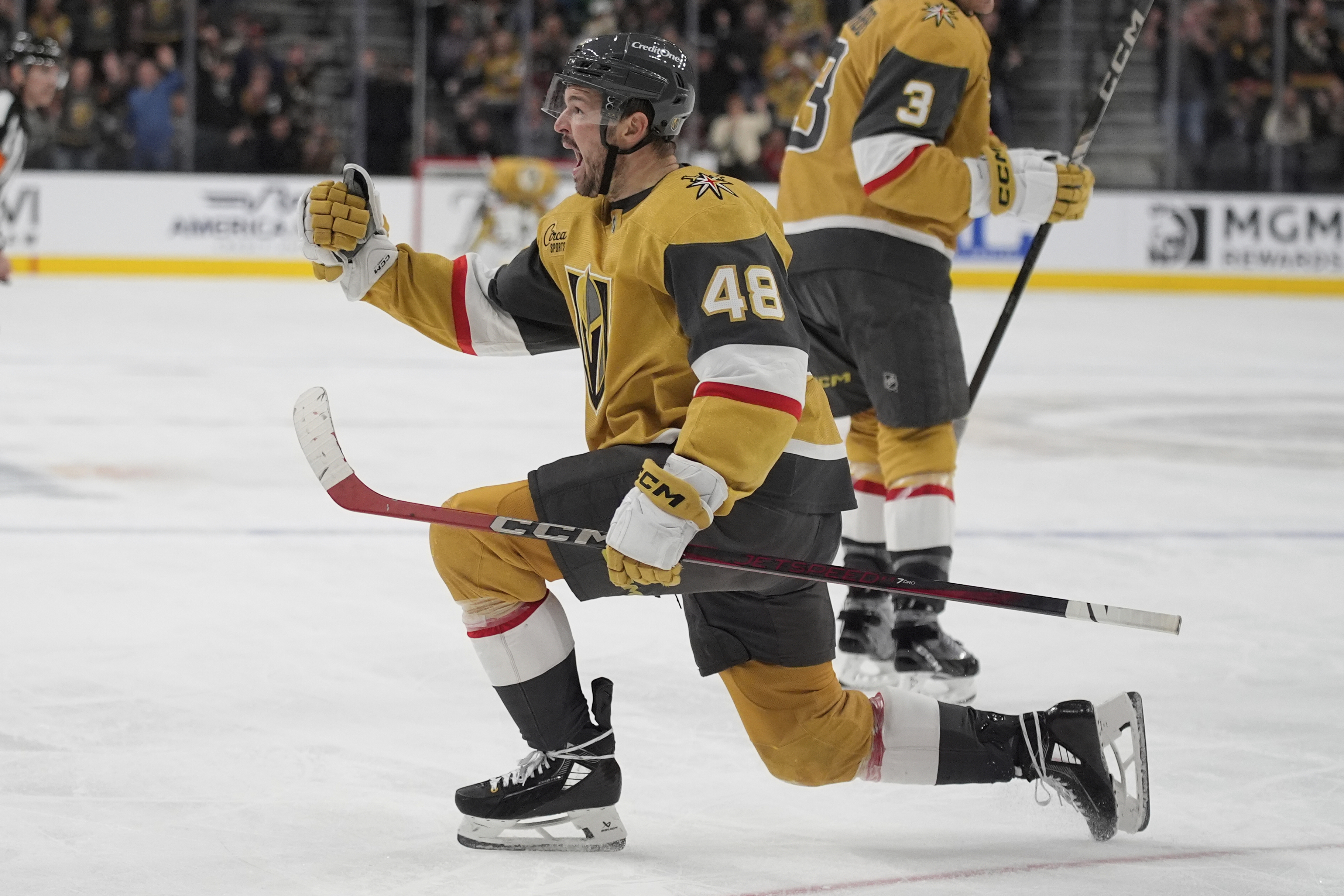 Kings Golden Knights Hockey