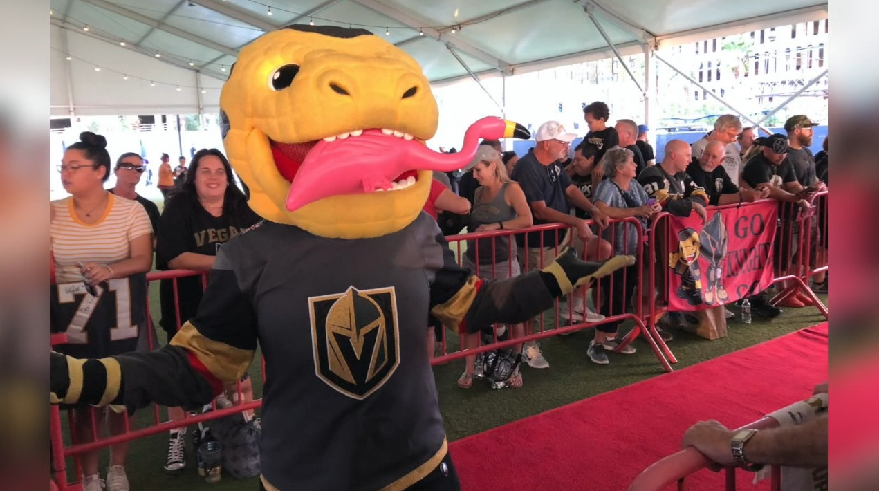 Plastic flamingos now fill the ice rink when the Vegas Golden Knights play, we talk to the fan who started it all.