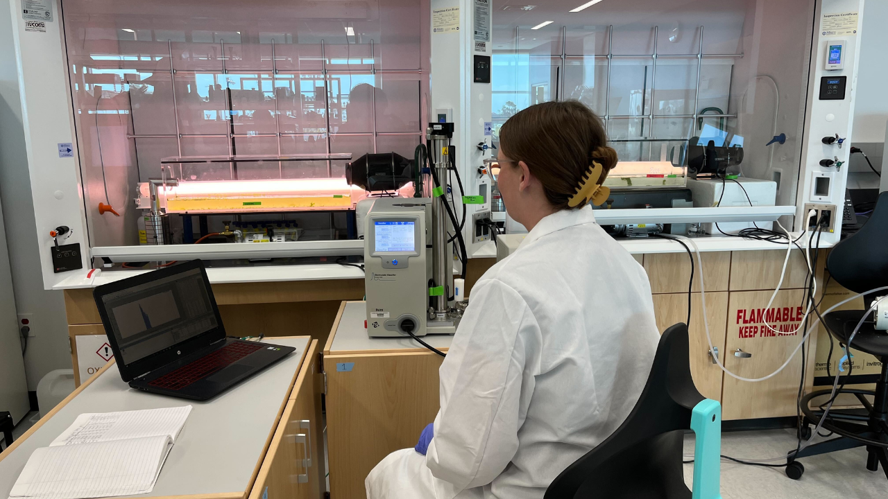 Researchers looking into toxins that Blue-Green Algae release into the air