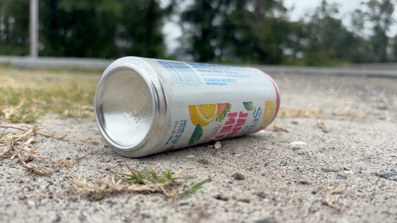 Litter on the side of Crawfordville Highway