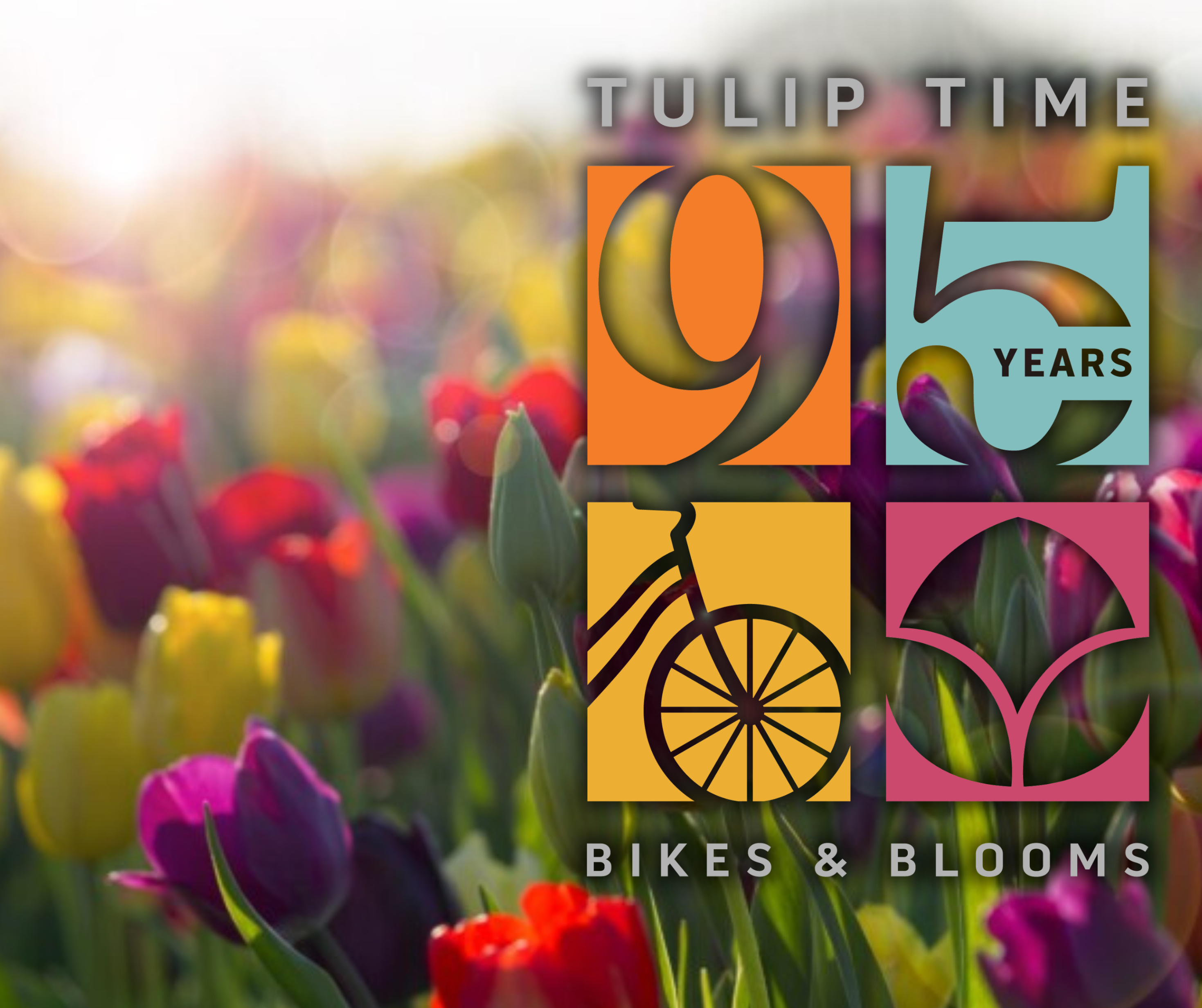Tulip Time 95th Anniversary logo with tulips background