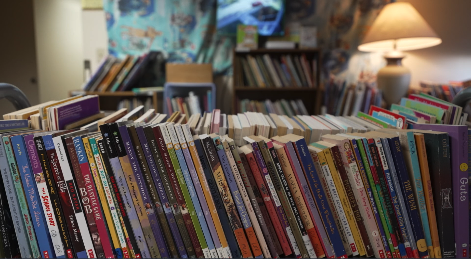 Books at the Annual Used Book Sale